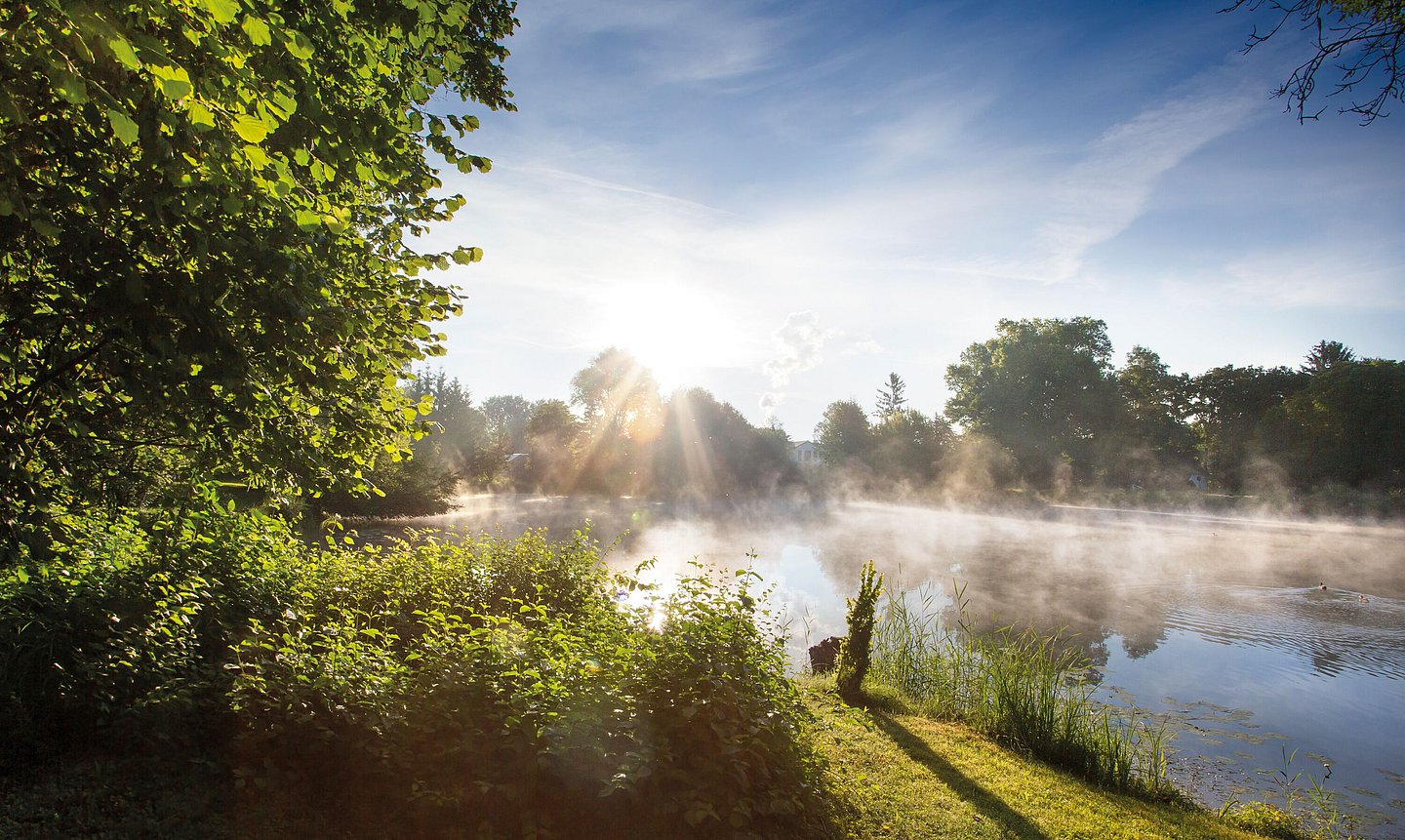 Lauingen Auwaldsee