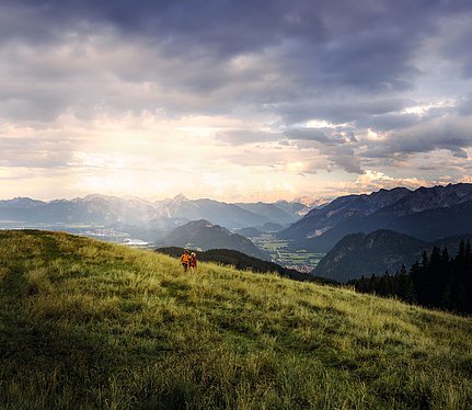 Zwei Wanderer auf einem Wiesenhügel, im Hintergrund die Allgäuer Alpen